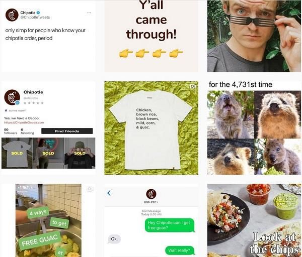 Posting Different Content on Instagram | Instagram For Business | One Search Pro Digital Marketing