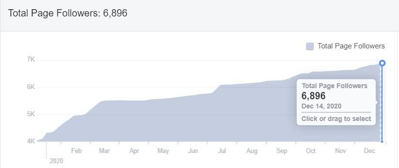 Analyzing Target Audience on Facebook | Benefits of Marketing | One Search Pro Marketing