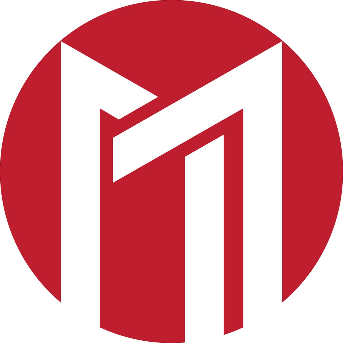 Magnes Marketing search agency website