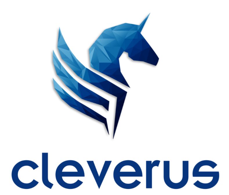 Cleverus SEO agency website