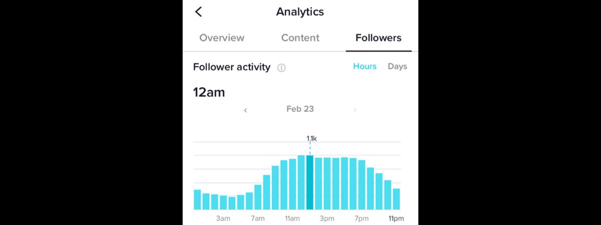 TikTok follower activity chart by hour and day