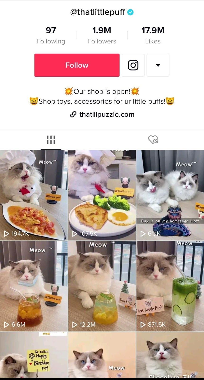 Example of a viral TikTok channel