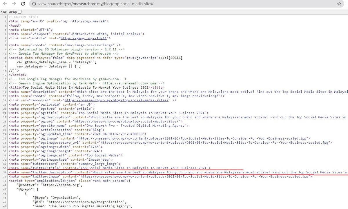 View Page Source | Meta Title And Description | One Search Pro Digital Marketing