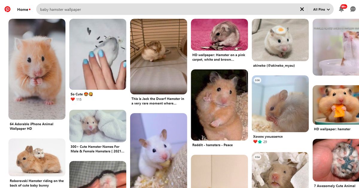 Sharing Cute Wallpapers | Social Media Platform | One Search Pro Digital Marketing